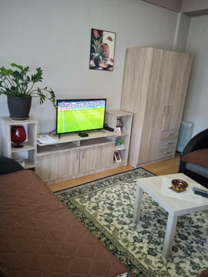 Apartman Nikolic Μπορ Εξωτερικό φωτογραφία