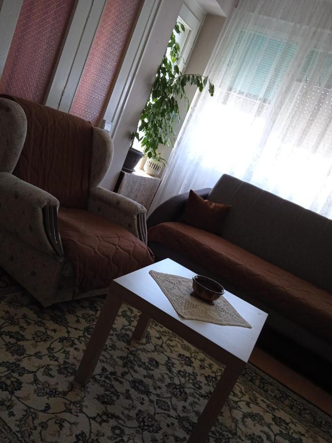 Apartman Nikolic Μπορ Εξωτερικό φωτογραφία