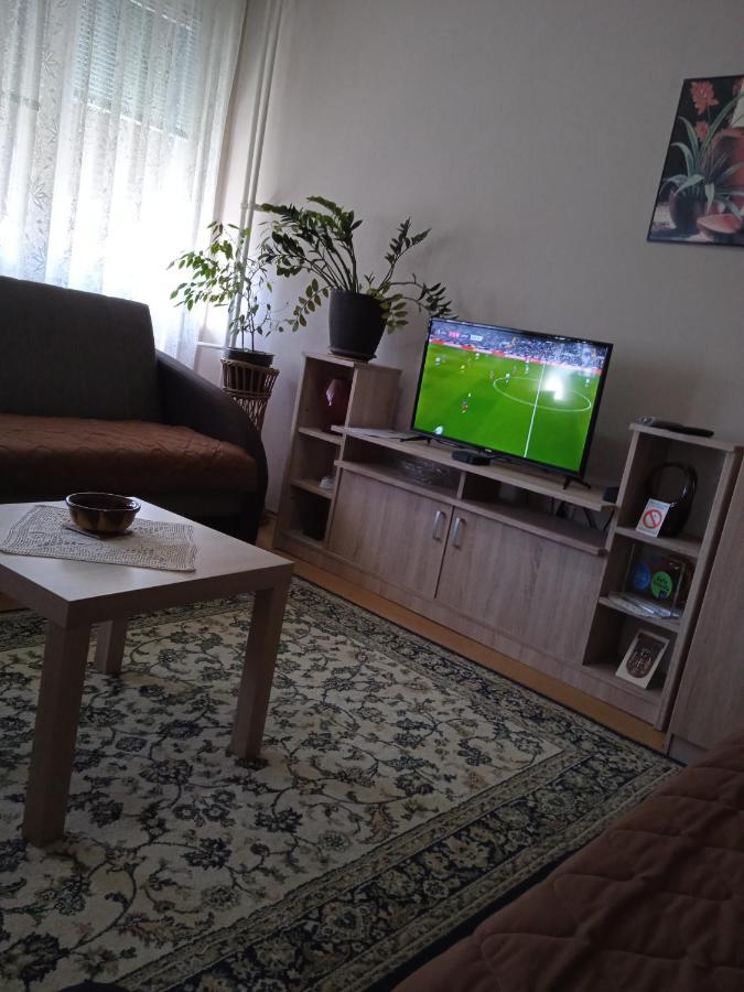 Apartman Nikolic Μπορ Εξωτερικό φωτογραφία