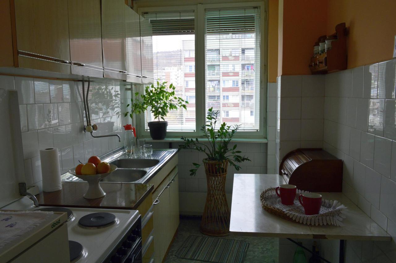 Apartman Nikolic Μπορ Εξωτερικό φωτογραφία